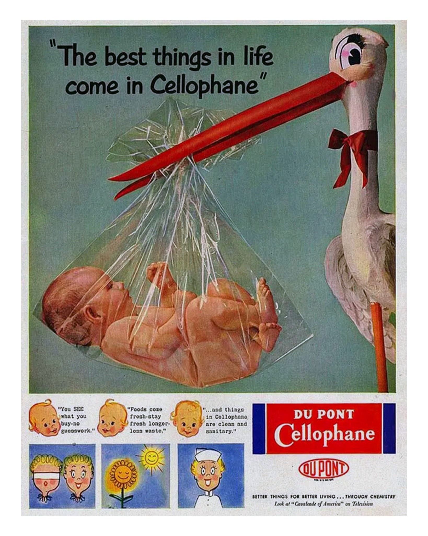 cellophane.jpg
