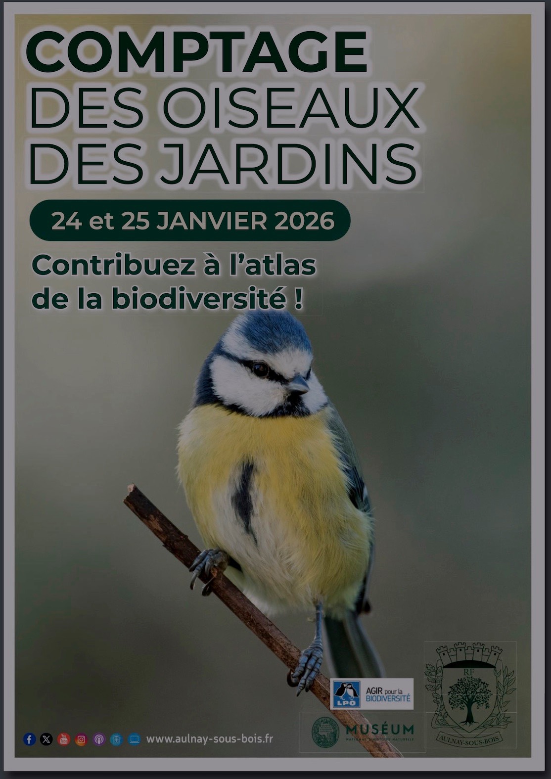Dépliant comptage des oiseaux 2026.jpg