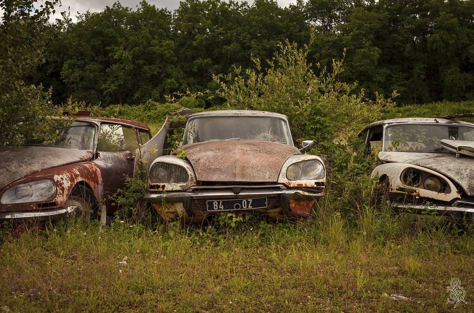 DS au repos final.jpg