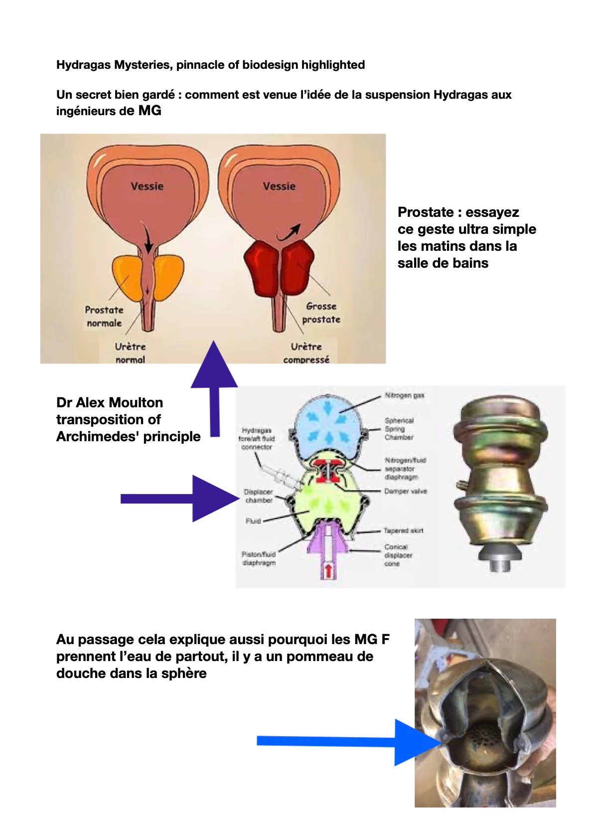 Hydragas mysteries.1.jpeg