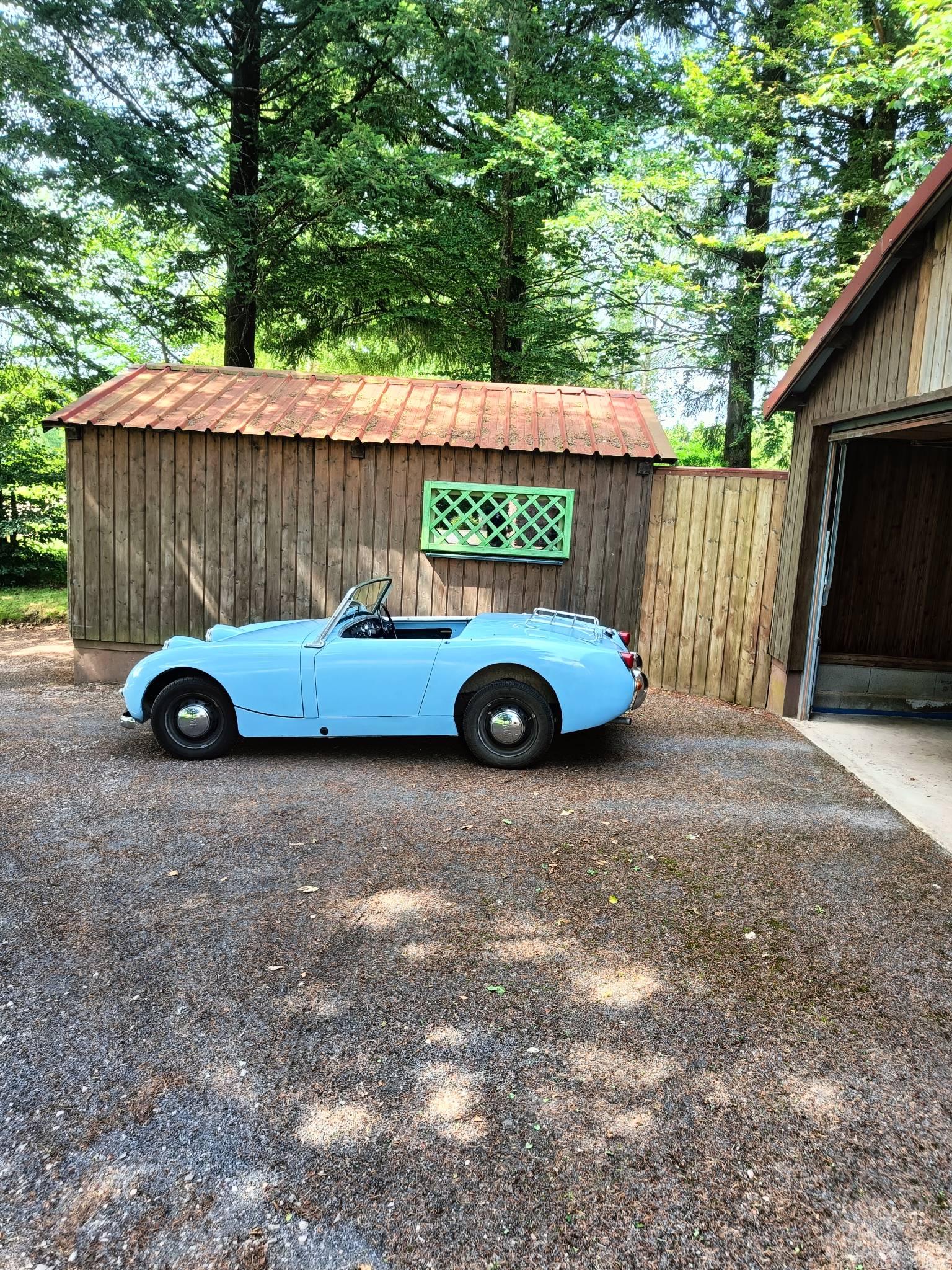 IMG20240730120426.jpg