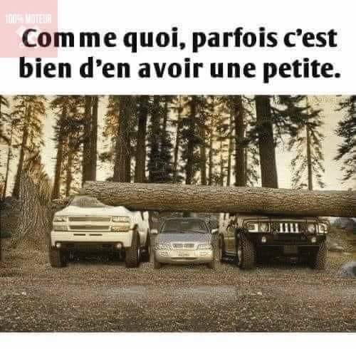 petite.jpg