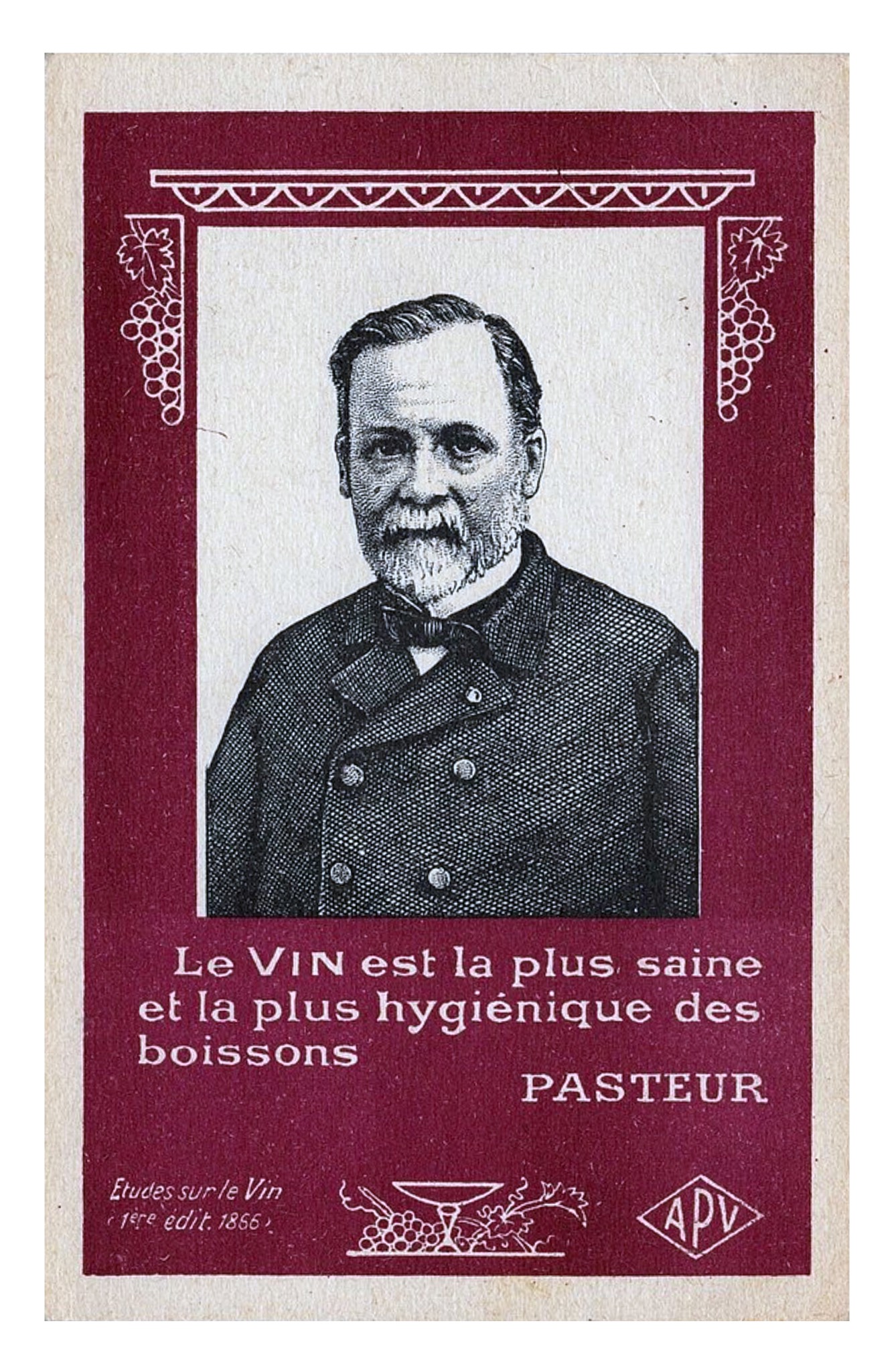 Pasteur, pub vin.jpg