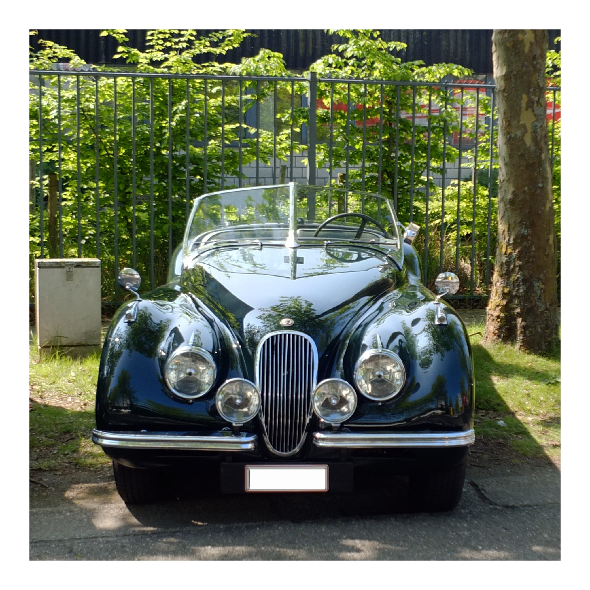 Angloparts British Cars Day 2025 04 26 2.jpg