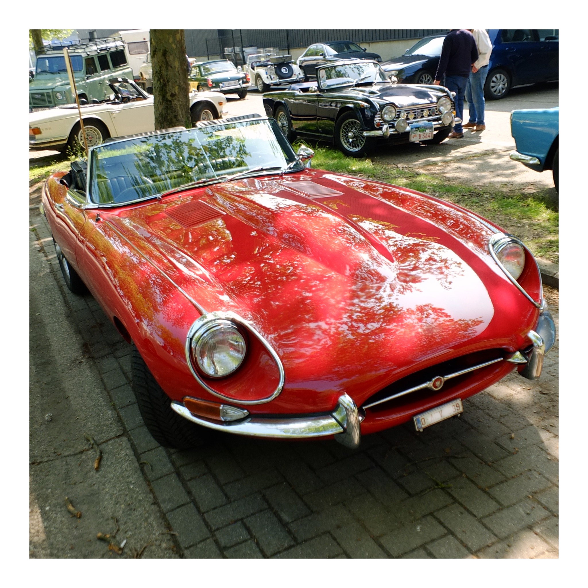 Angloparts British Cars Day 2025 04 26 19.jpg