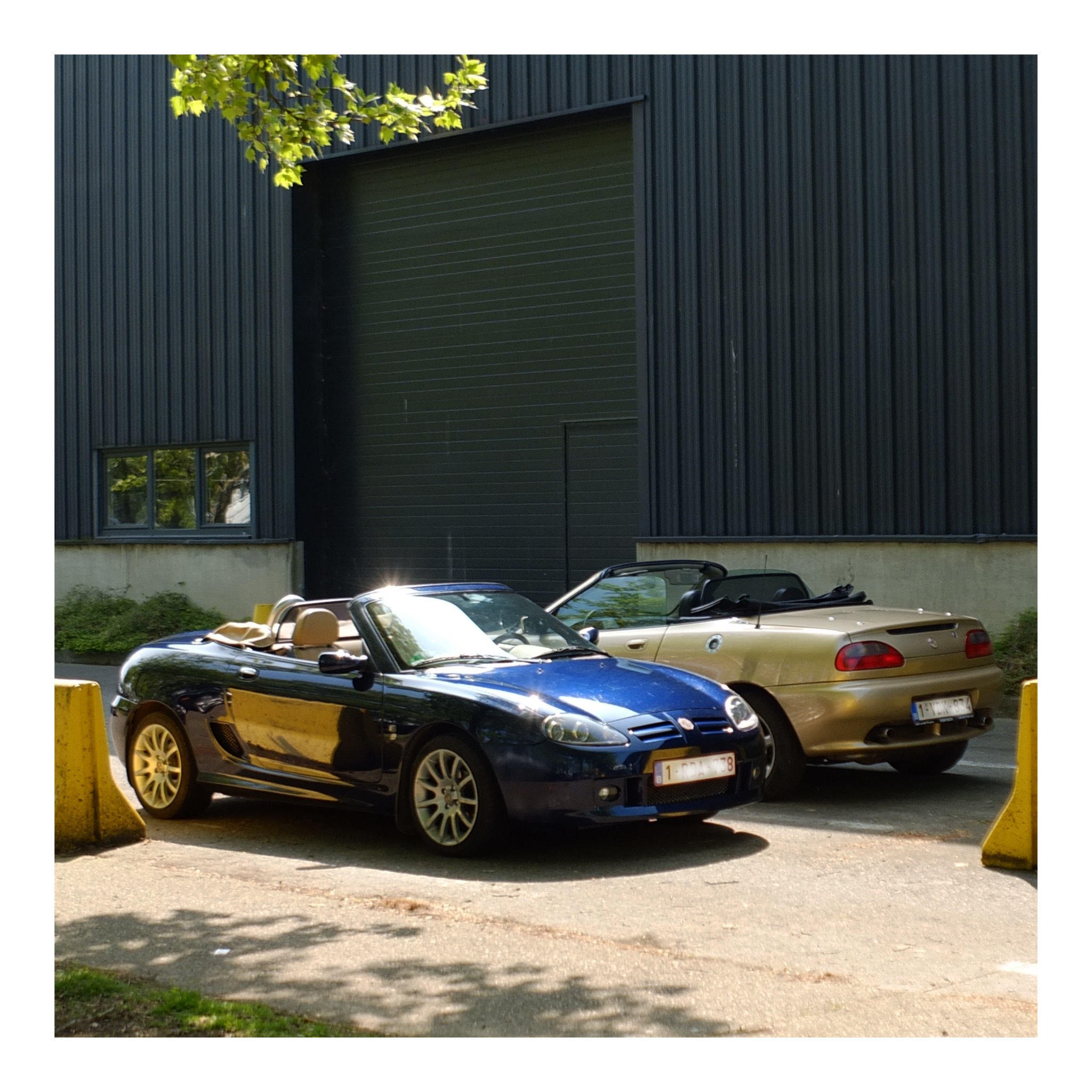 Angloparts British Cars Day 2025 04 26 26.jpg