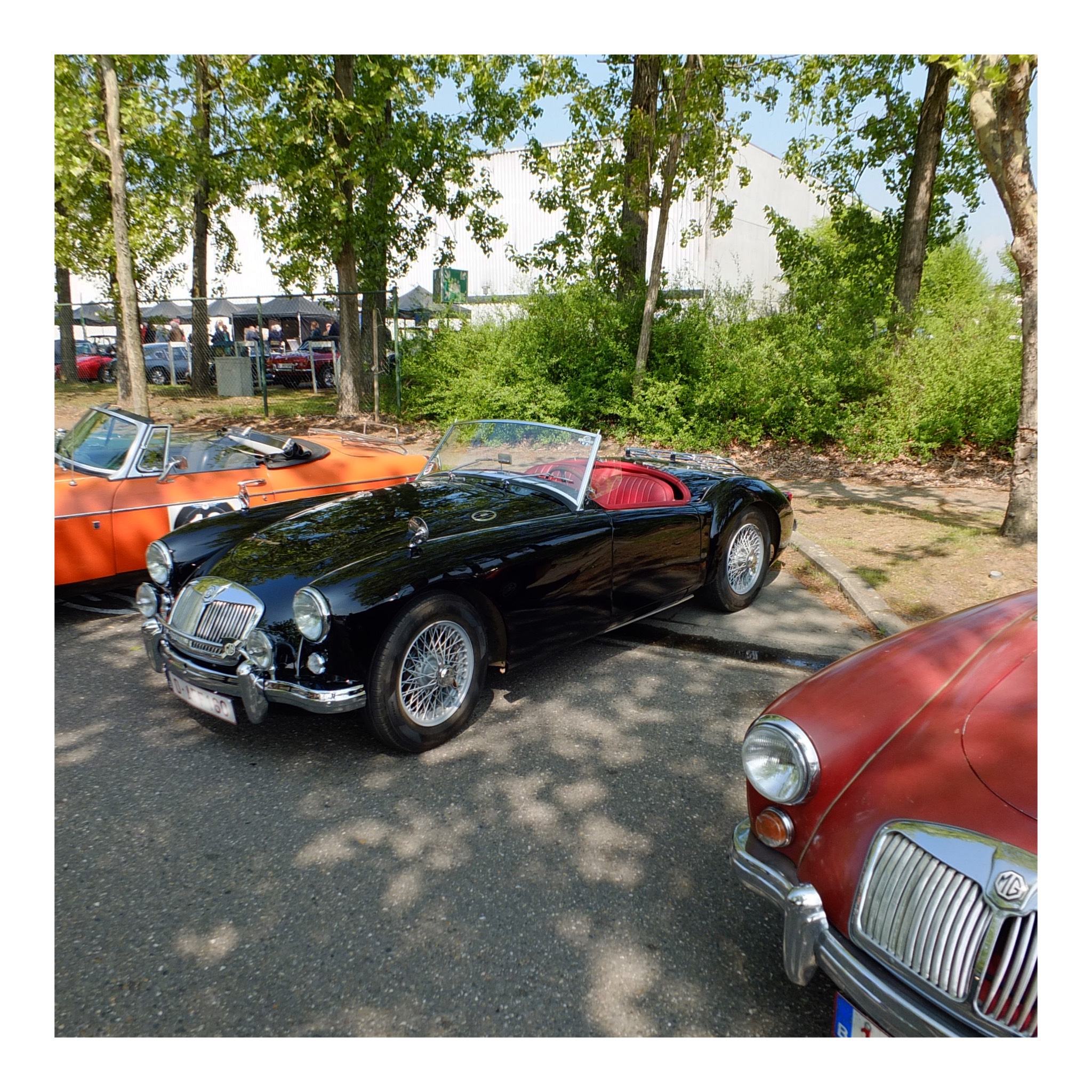 Angloparts British Cars Day 2025 04 26 46.jpg