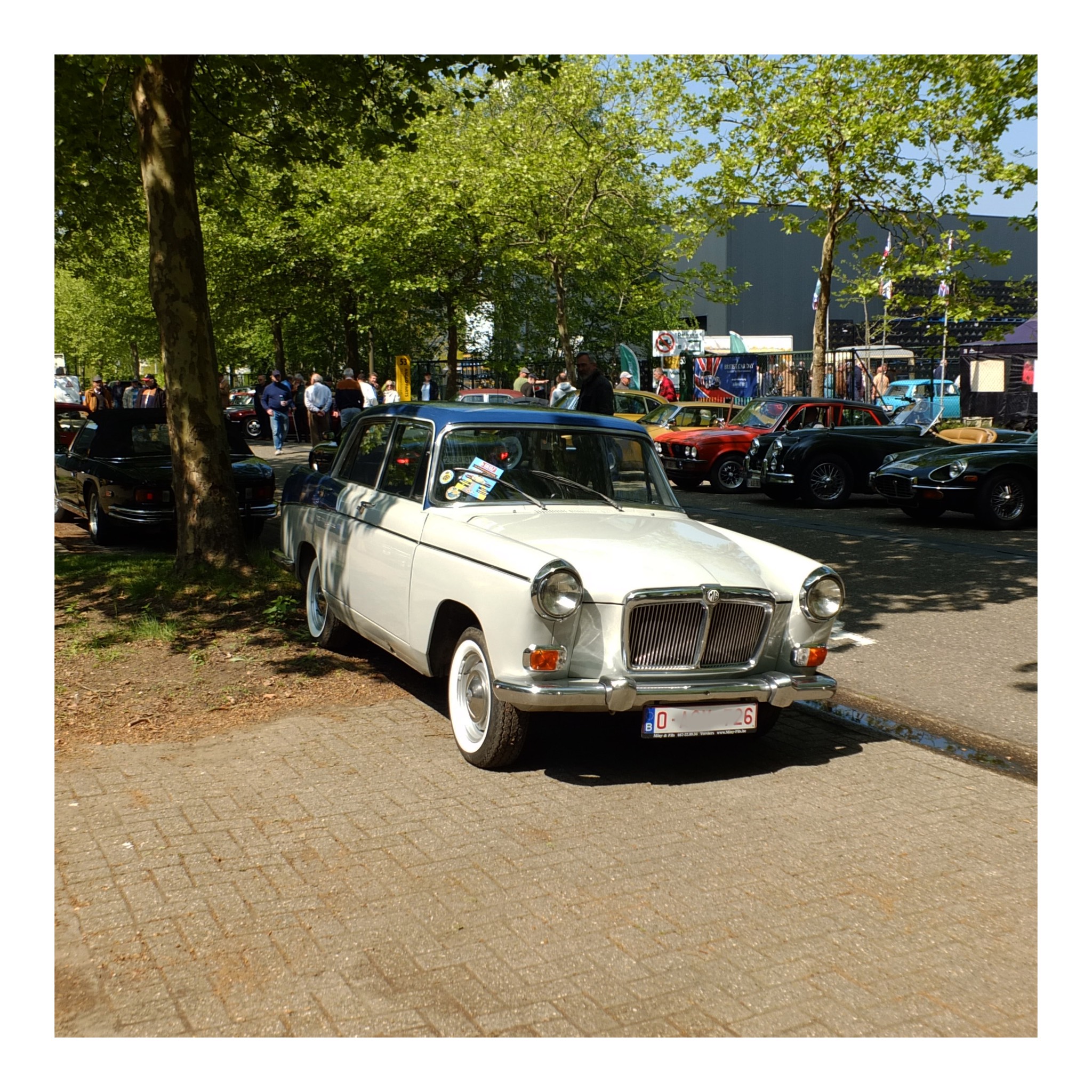 Angloparts British Cars Day 2025 04 26 89.jpg