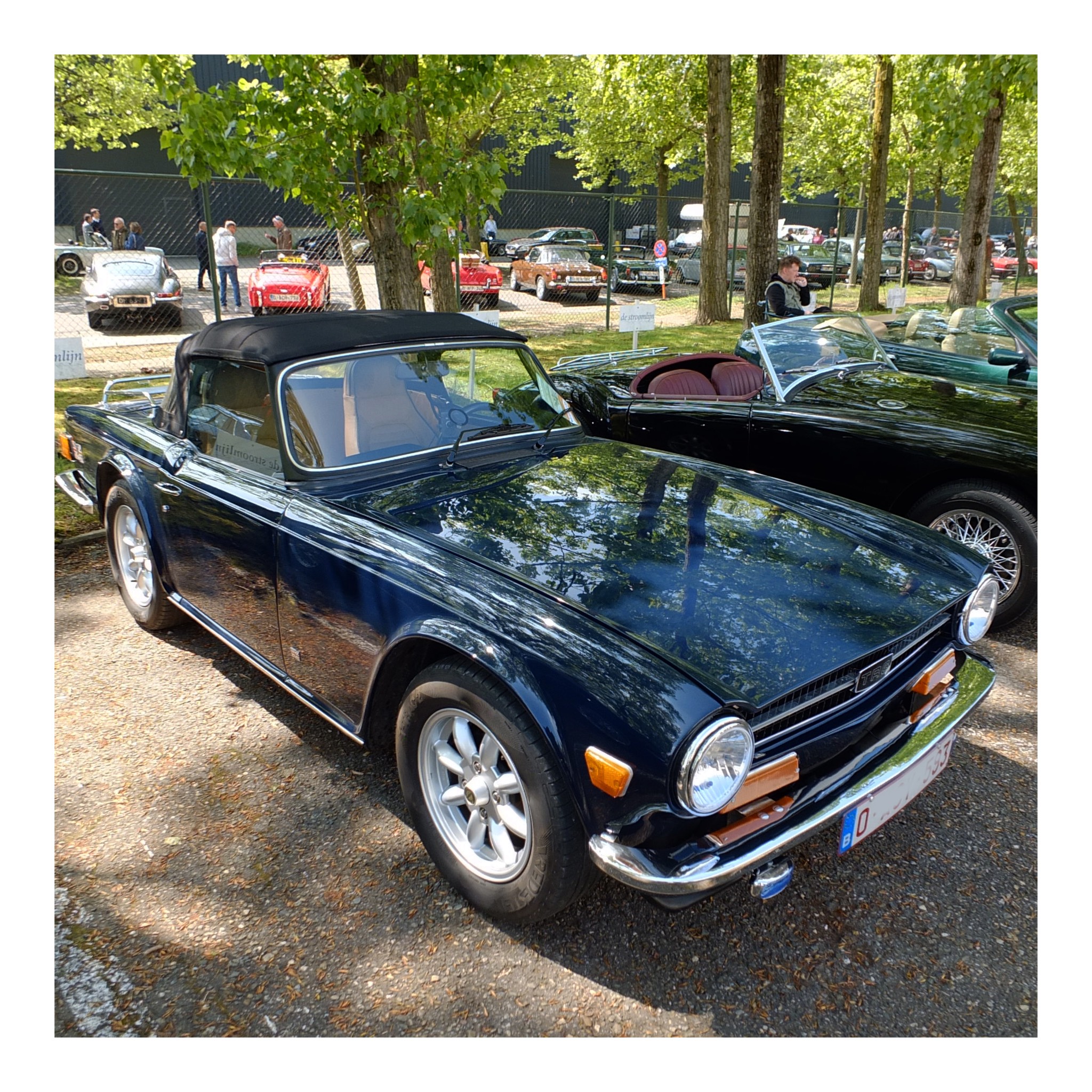 Angloparts British Cars Day 2025 04 26 103.jpg