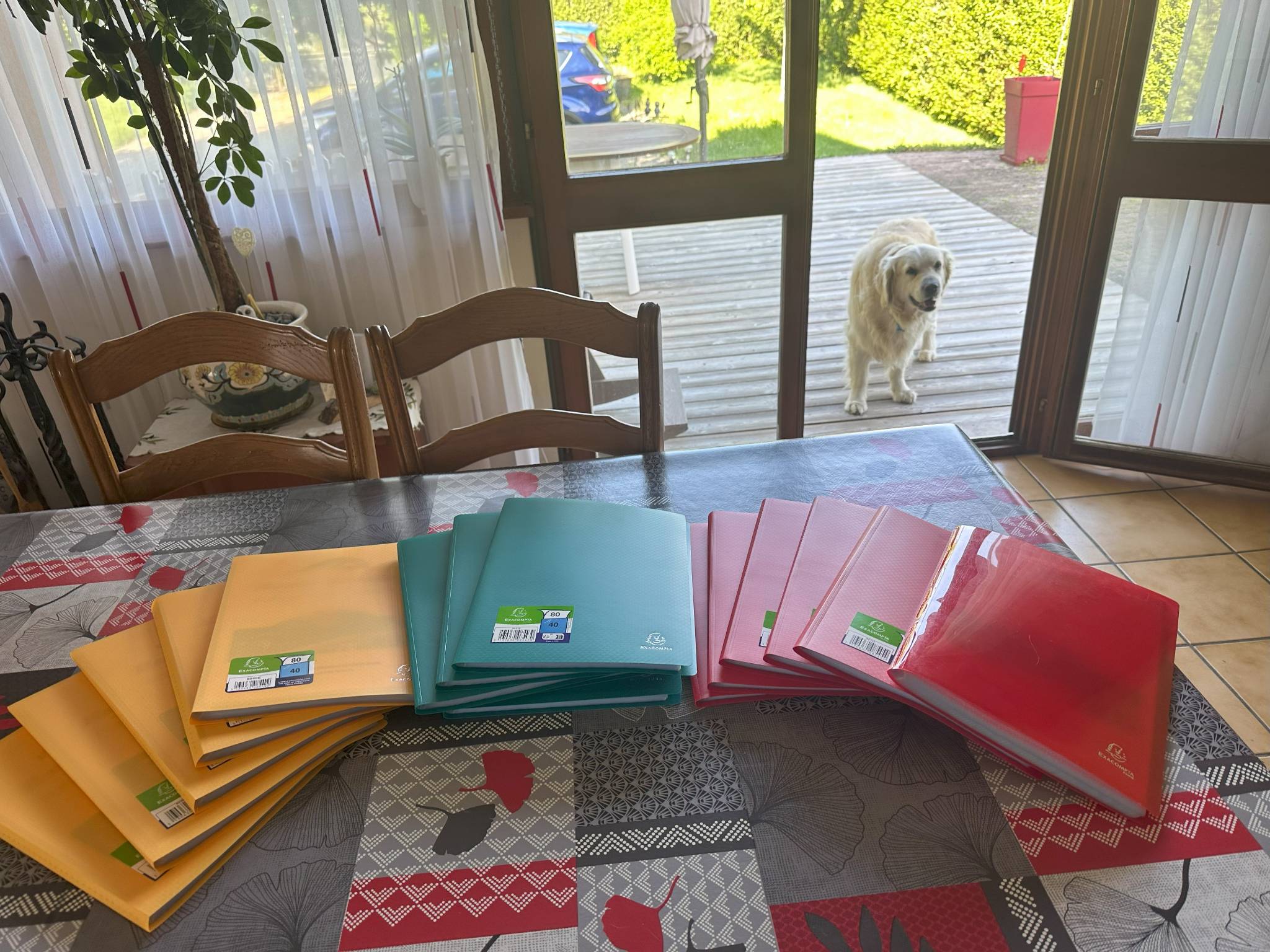 Salto garde les Road Book.jpeg