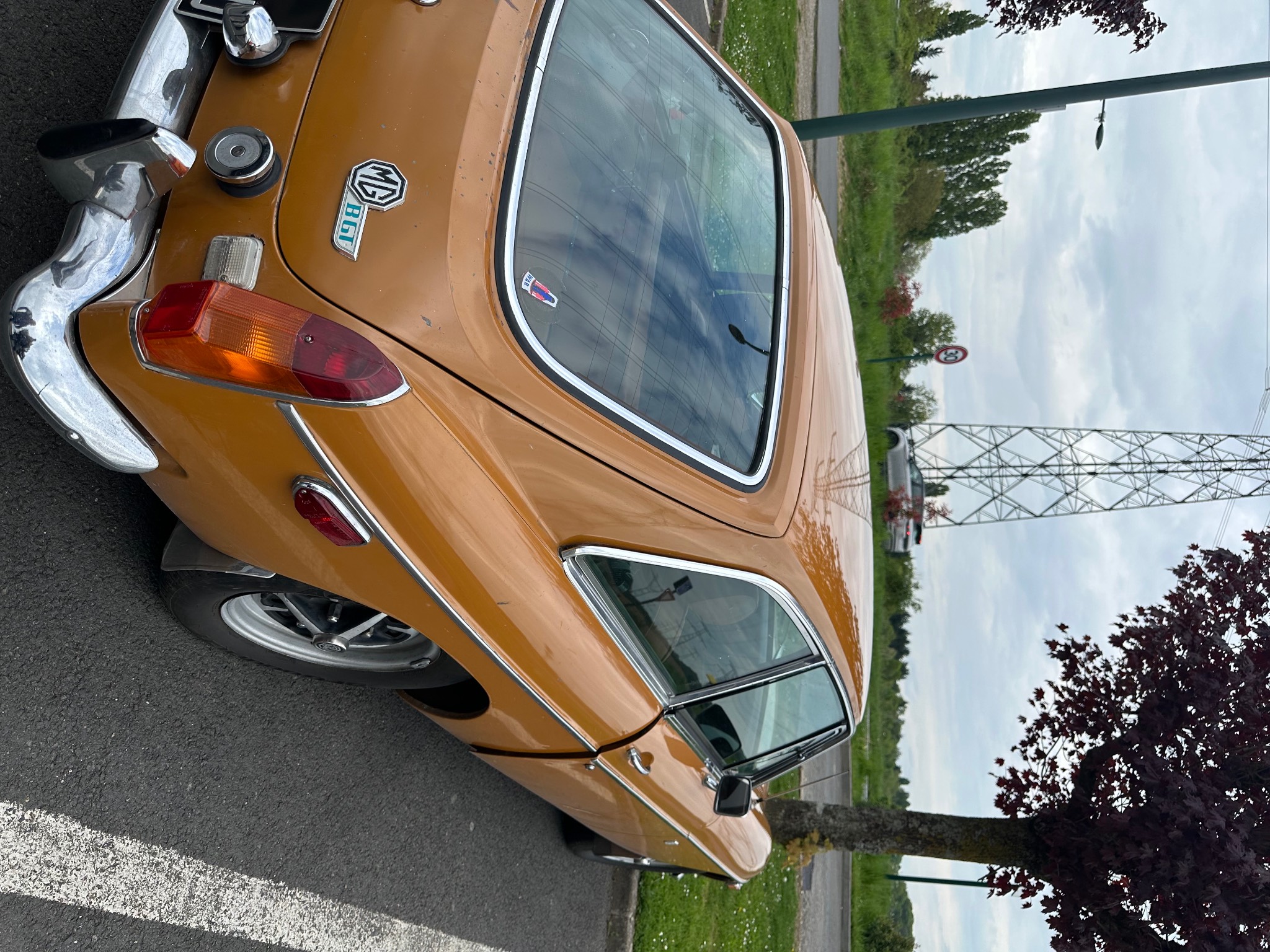 IMG_0333.jpeg