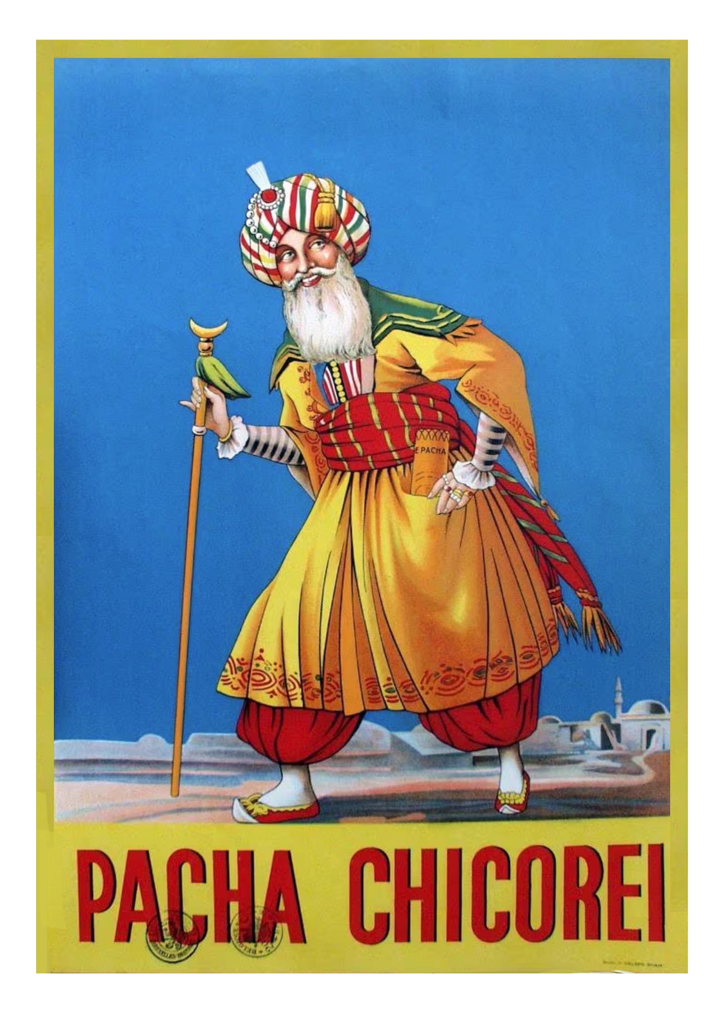 chicorée Pacha .jpg